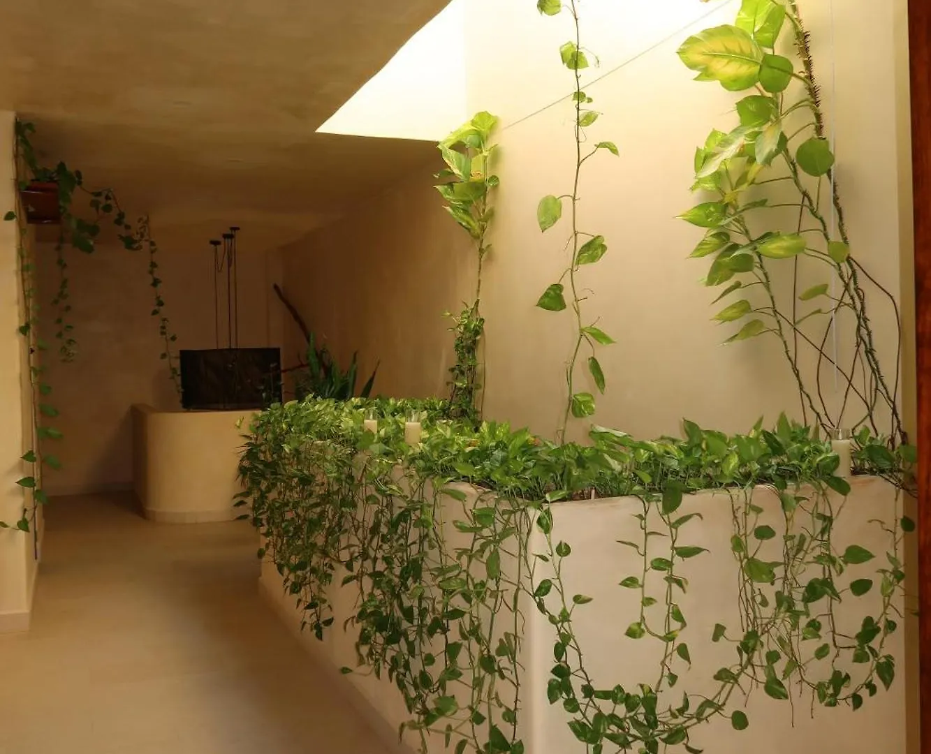 Sunsteps Casa Holbox Διαμέρισμα Μεξικό