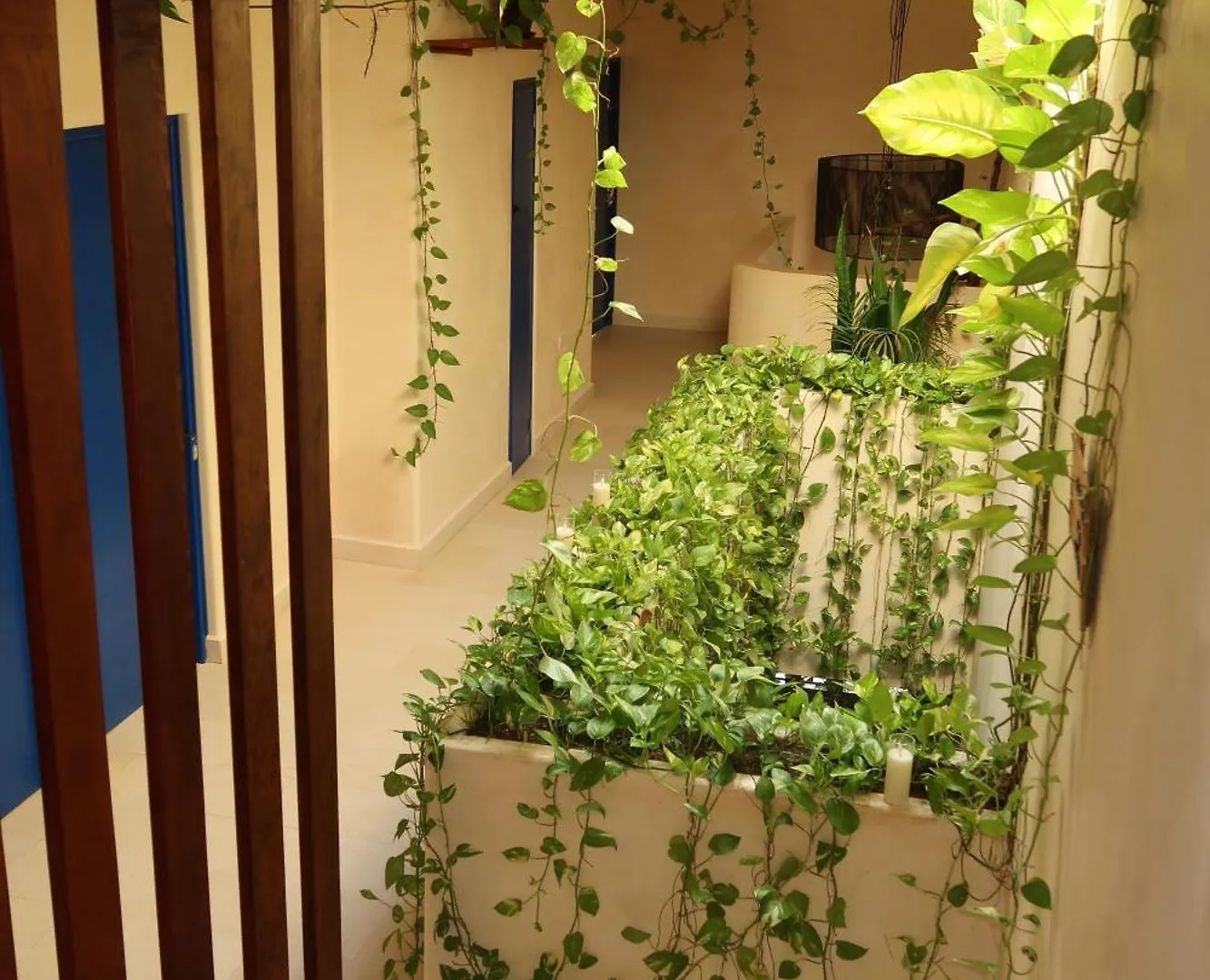 Sunsteps Casa Holbox Διαμέρισμα