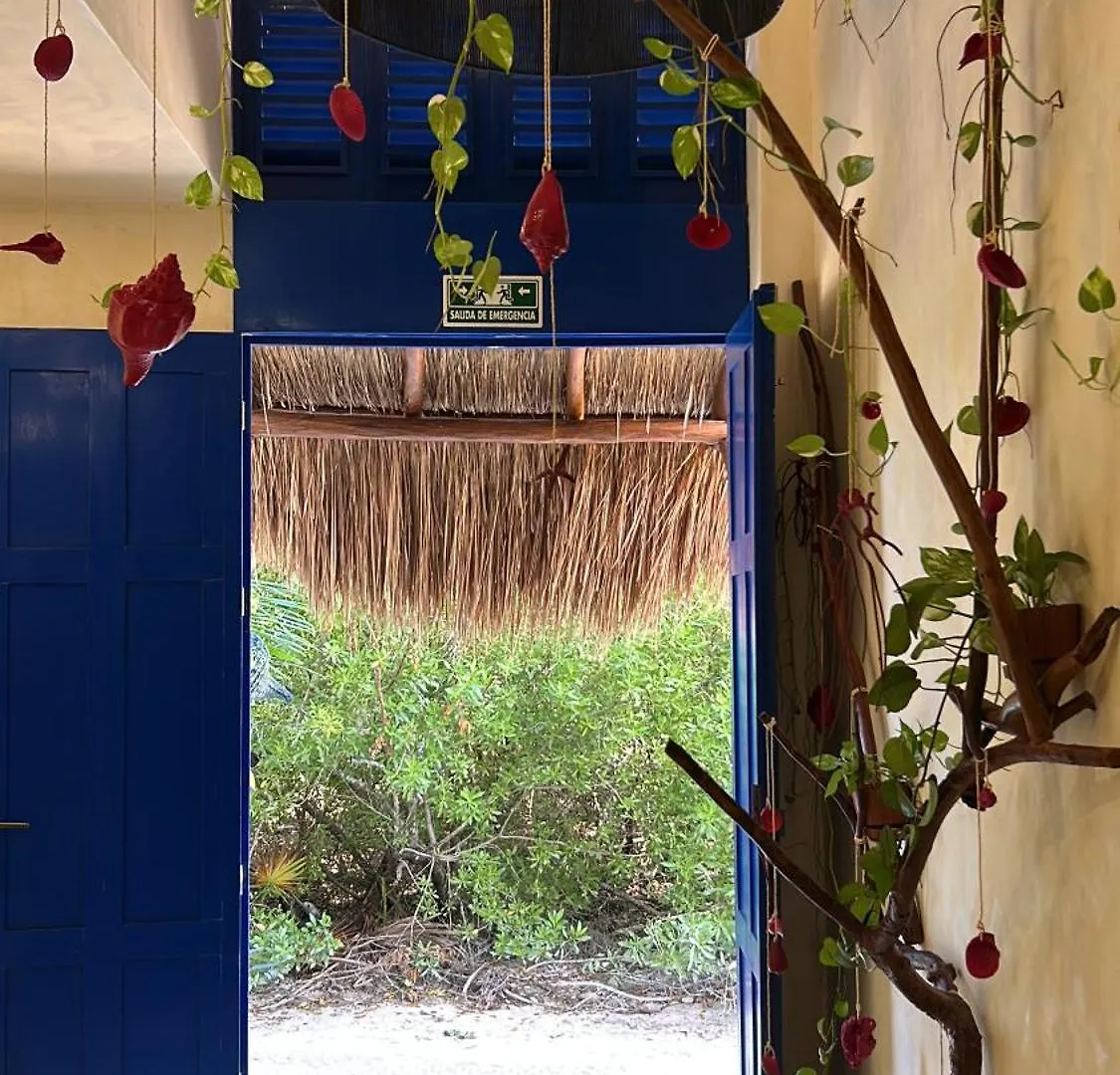 Sunsteps Casa Holbox Apartment  Isla Holbox